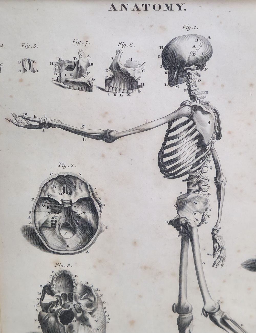 The Study: A gentleman's collection (Part One)